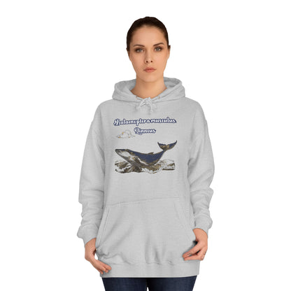 Korea -  Blue Whale Unisex College Hoodie  - StyleMZ