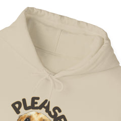 Please Unisex Heavy Blend™ Hooded Sweatshirt  - Korea  - StyleMZ