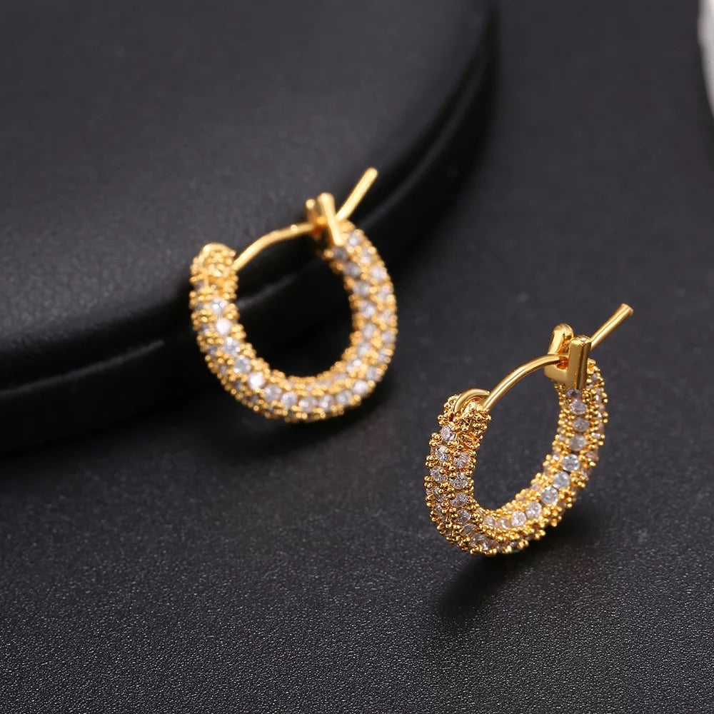 Elegant Shine Hoop Earrings - Stylemz