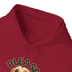 Please Unisex Heavy Blend™ Hooded Sweatshirt  - Korea  - StyleMZ