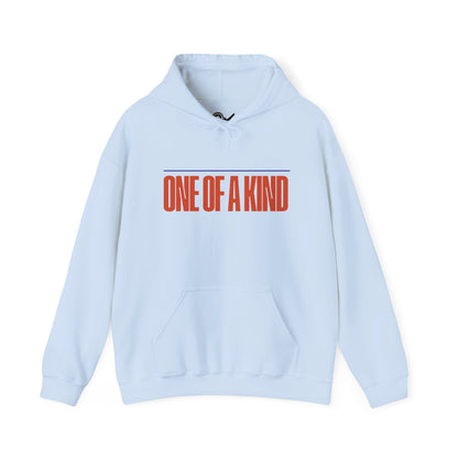 One of a kind Unisex Heavy Blend™ Hooded Sweatshirt - StyleMZ - Stylemz