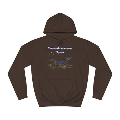 Korea -  Blue Whale Unisex College Hoodie  - StyleMZ