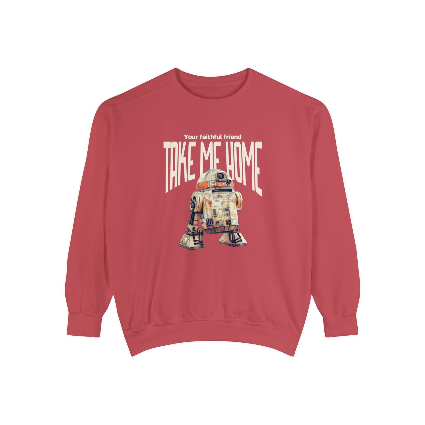 Korea -  Take me home Unisex Garment-Dyed Sweatshirt  - StyleMZ