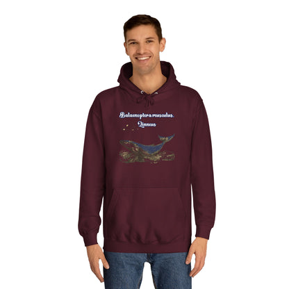 Korea -  Blue Whale Unisex College Hoodie  - StyleMZ