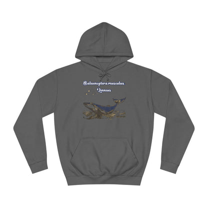 Korea -  Blue Whale Unisex College Hoodie  - StyleMZ