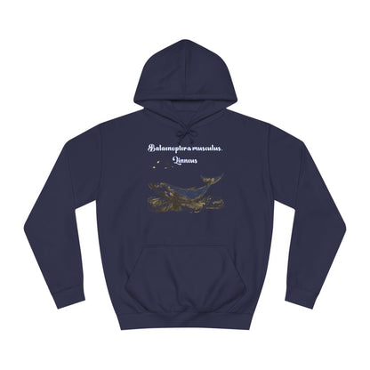 Korea -  Blue Whale Unisex College Hoodie  - StyleMZ