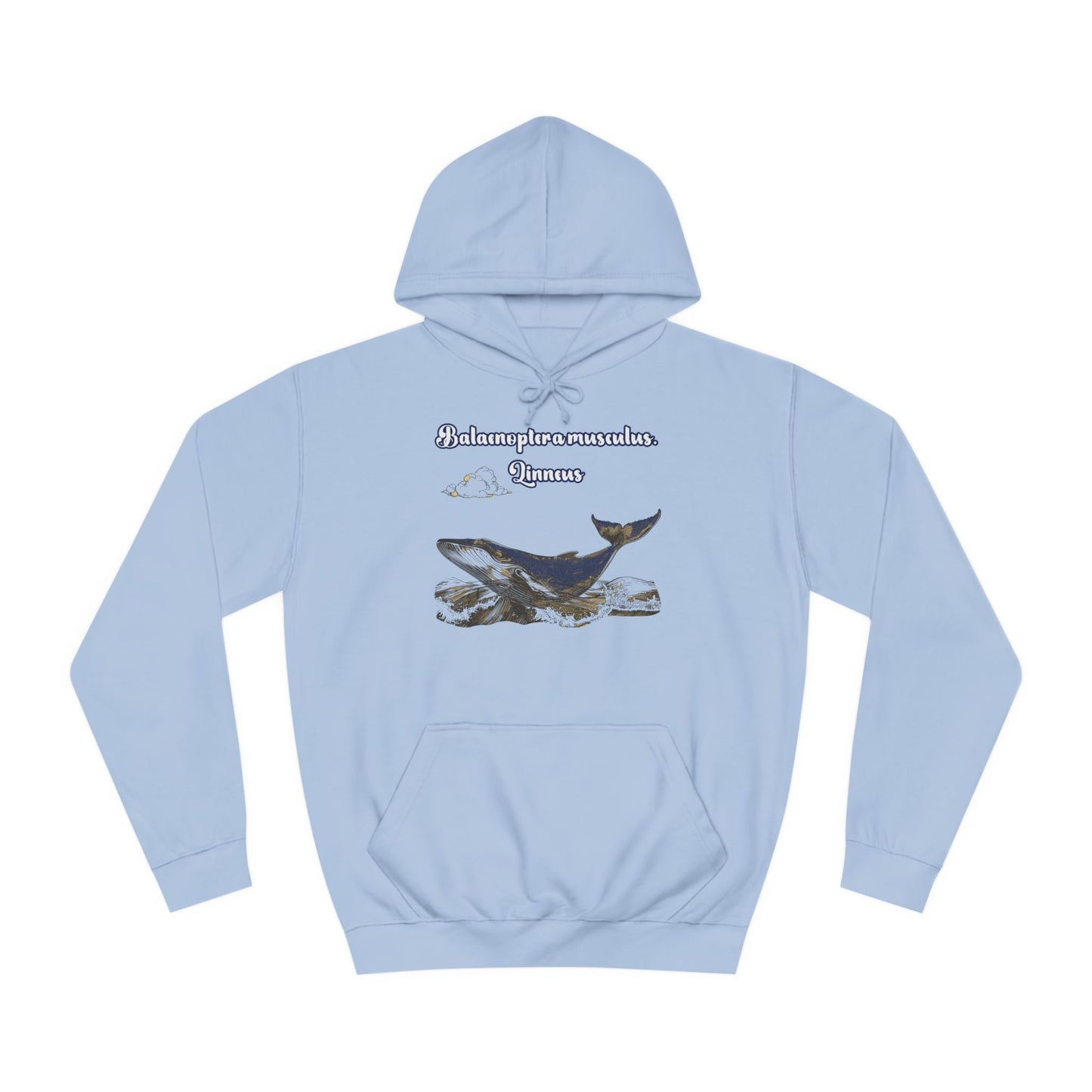 Korea -  Blue Whale Unisex College Hoodie  - StyleMZ