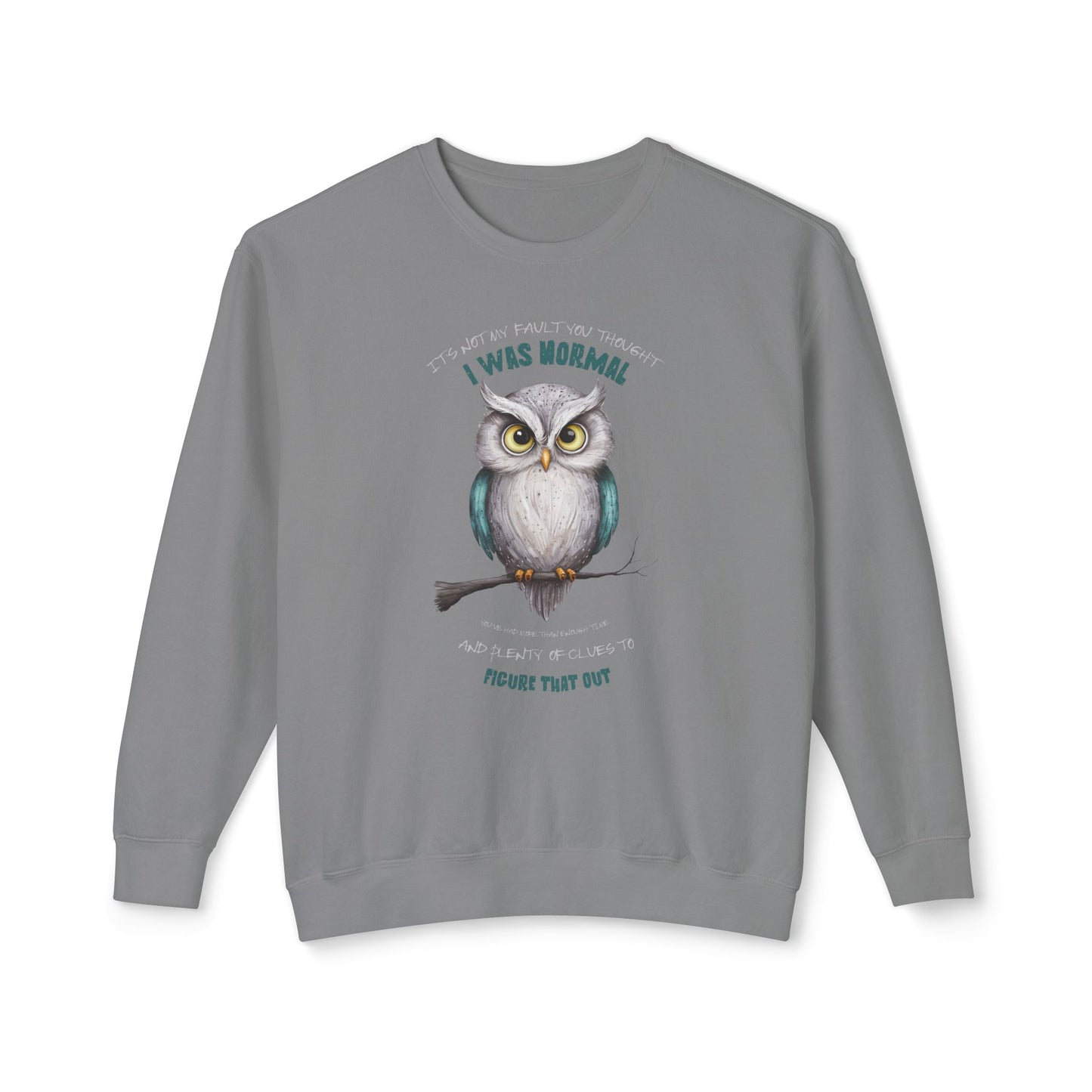 Corea - Sudadera unisex ligera de cuello redondo con mensaje de Quirky Owl - StyleMZ 