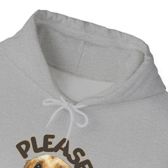 Please Unisex Heavy Blend™ Hooded Sweatshirt  - Korea  - StyleMZ