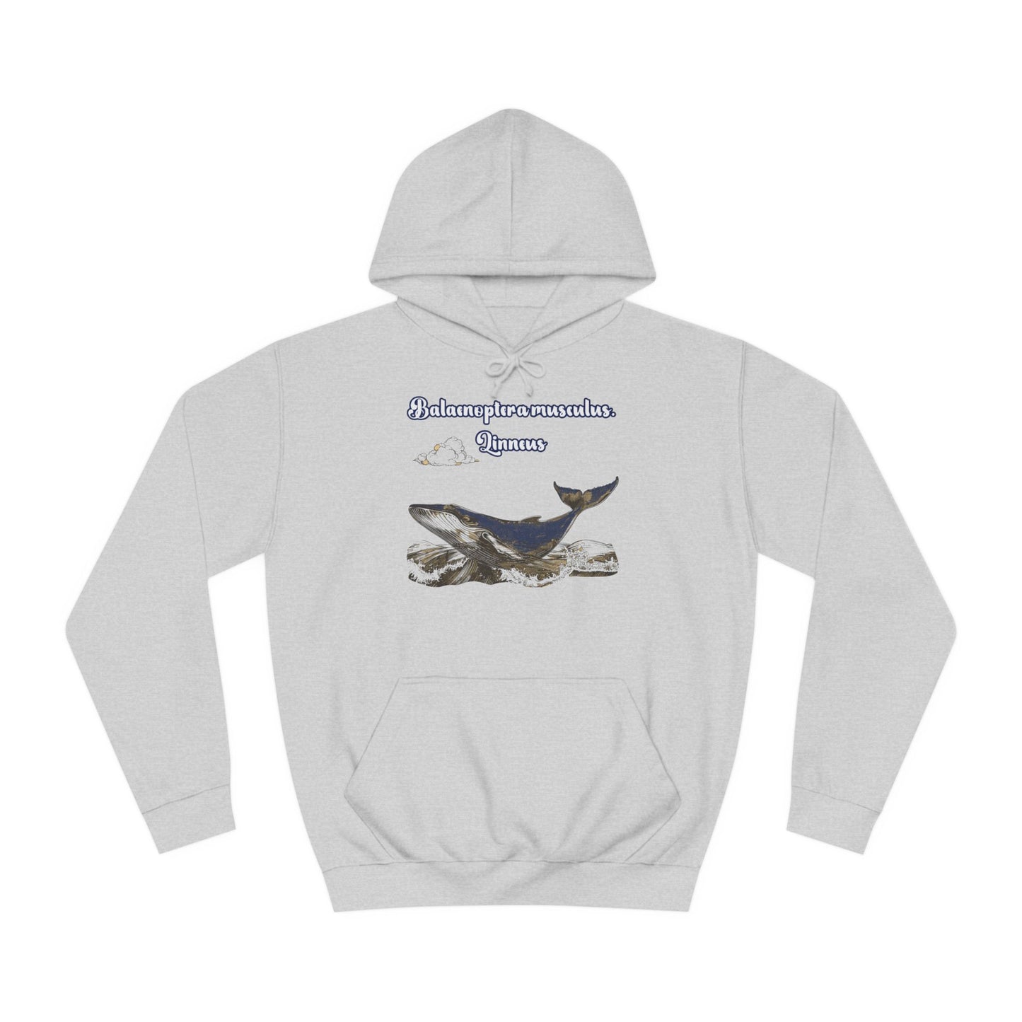 Korea -  Blue Whale Unisex College Hoodie  - StyleMZ