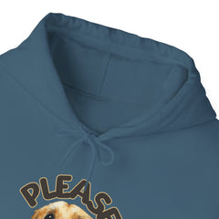 Please Unisex Heavy Blend™ Hooded Sweatshirt  - Korea  - StyleMZ