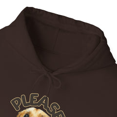 Please Unisex Heavy Blend™ Hooded Sweatshirt  - Korea  - StyleMZ