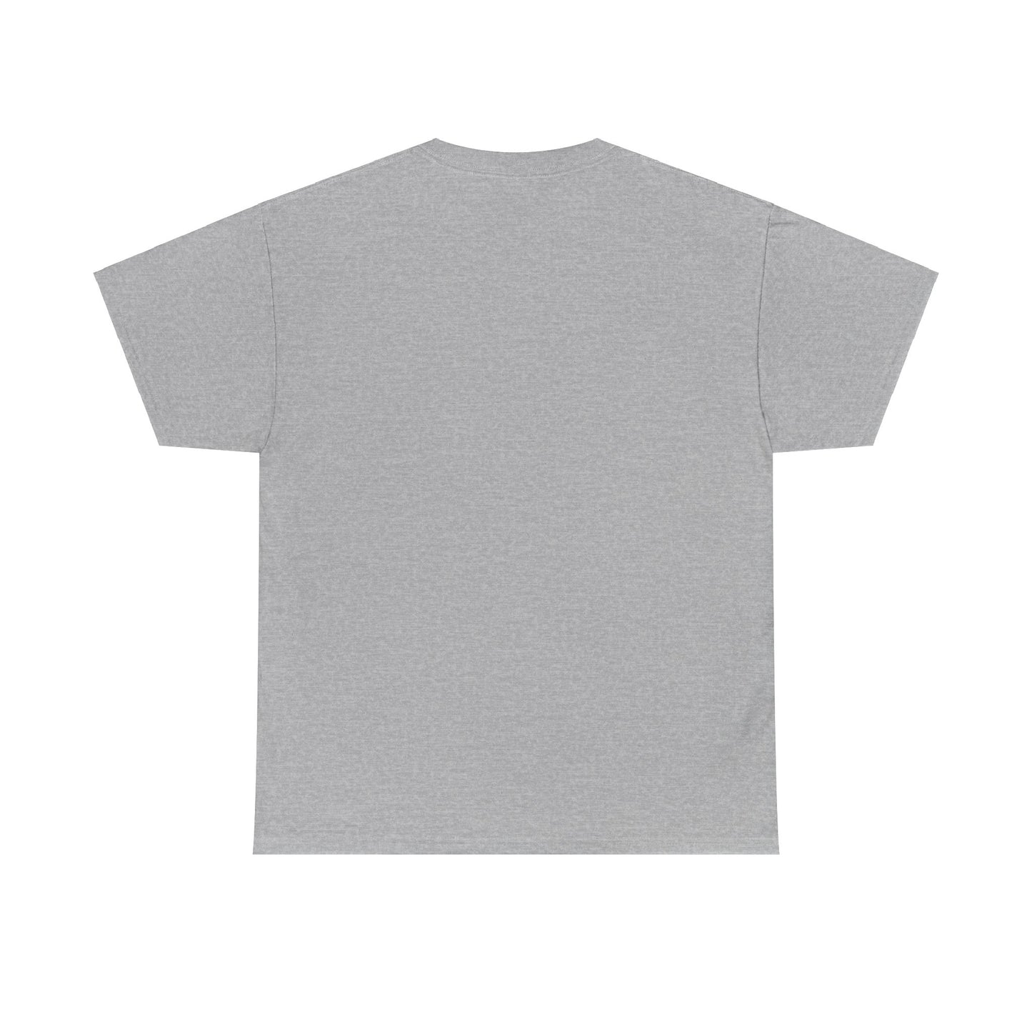 Stay at home Unisex Heavy Cotton Tee - StyleMZ