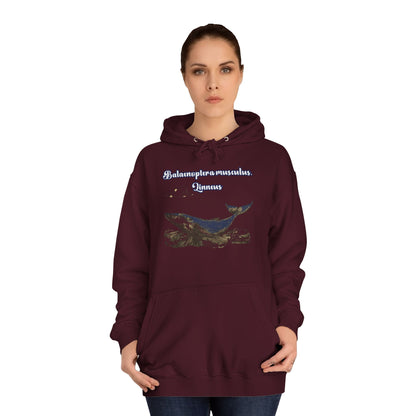 Korea -  Blue Whale Unisex College Hoodie  - StyleMZ