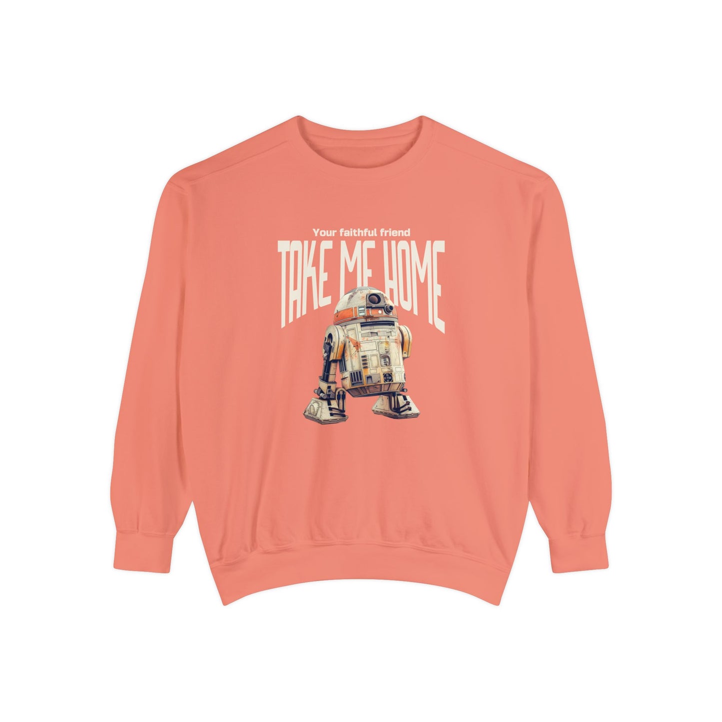 Korea -  Take me home Unisex Garment-Dyed Sweatshirt  - StyleMZ