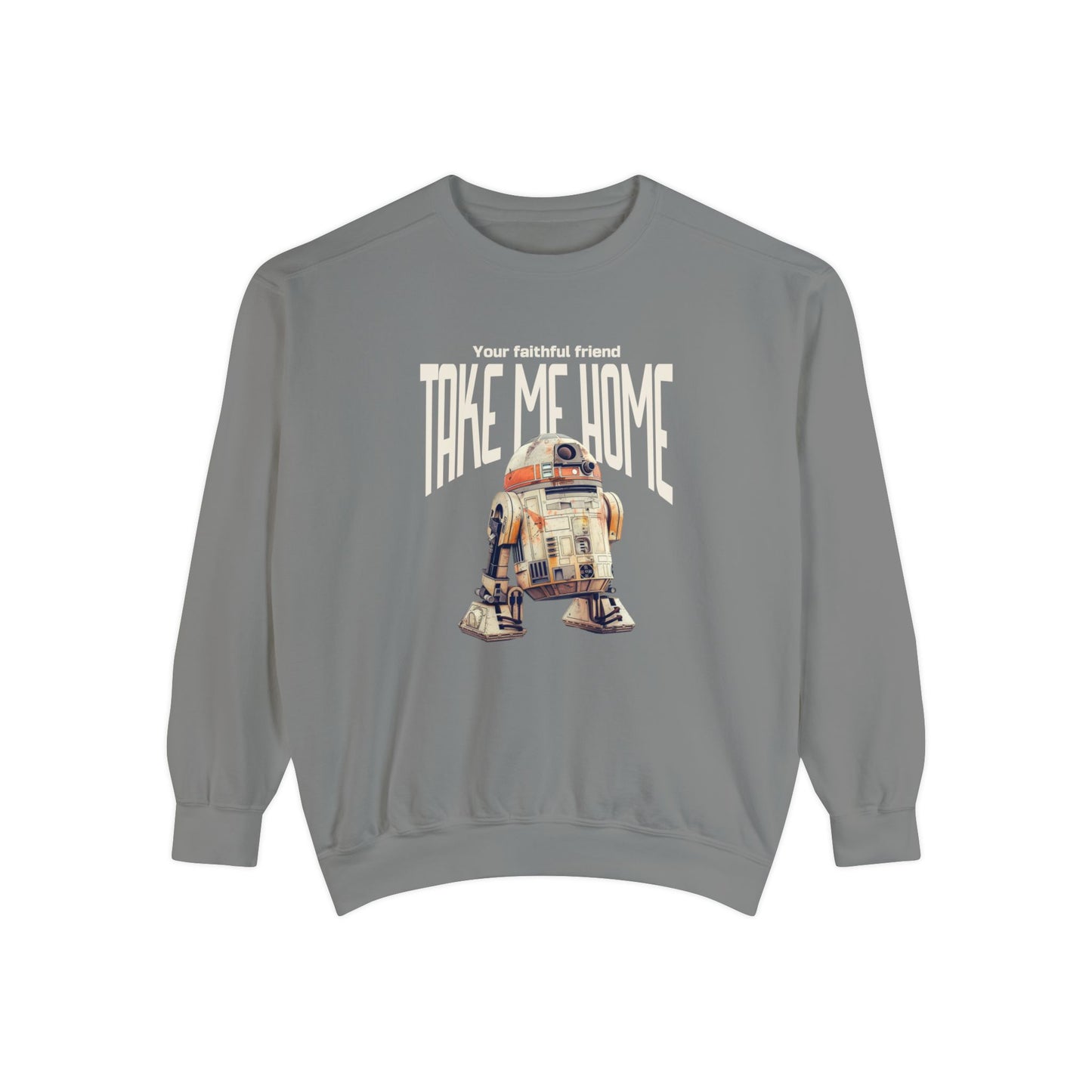 Korea -  Take me home Unisex Garment-Dyed Sweatshirt  - StyleMZ