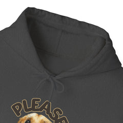 Please Unisex Heavy Blend™ Hooded Sweatshirt  - Korea  - StyleMZ