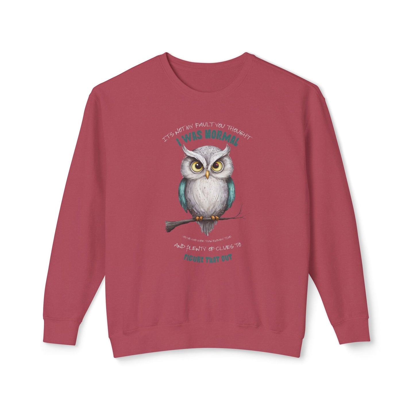 Corea - Sudadera unisex ligera de cuello redondo con mensaje de Quirky Owl - StyleMZ 