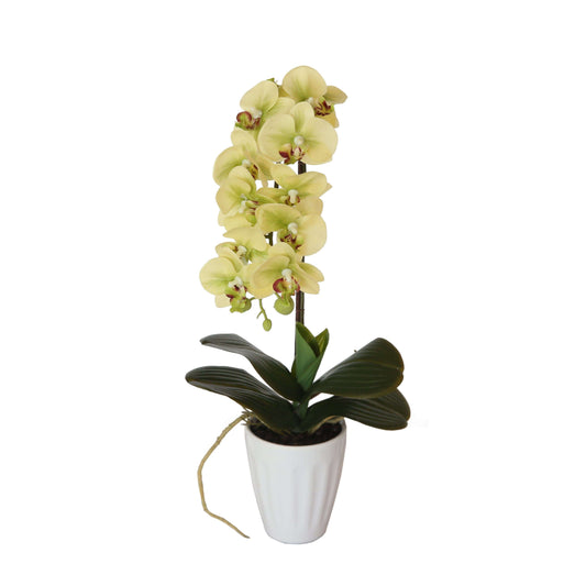 40cm Butterfly Artificial Potted Orchid Cream for Home Decor