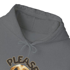 Please Unisex Heavy Blend™ Hooded Sweatshirt  - Korea  - StyleMZ