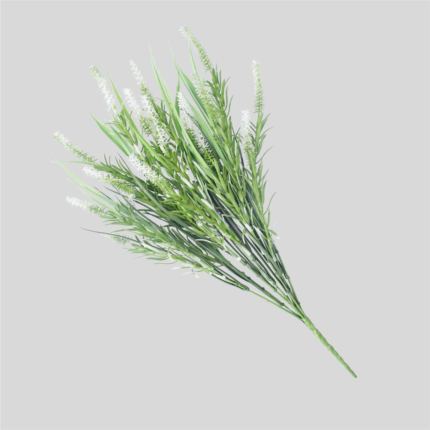 5 Pack Long Stem White Lavender 50cm UV Resistant Plant