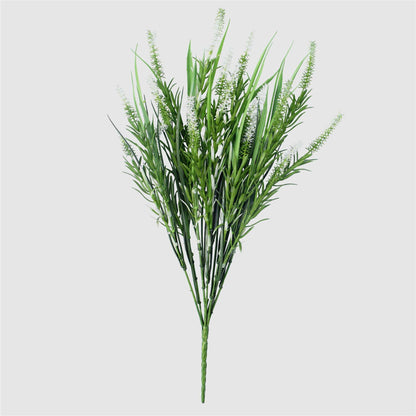 5 Pack Long Stem White Lavender 50cm UV Resistant Plant