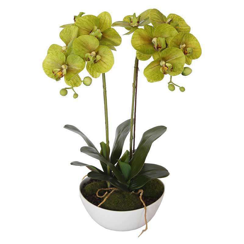 50cm Flowering Artificial Potted Orchid - Multi Stem Display