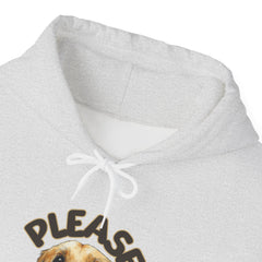 Please Unisex Heavy Blend™ Hooded Sweatshirt  - Korea  - StyleMZ