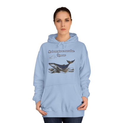 Korea -  Blue Whale Unisex College Hoodie  - StyleMZ