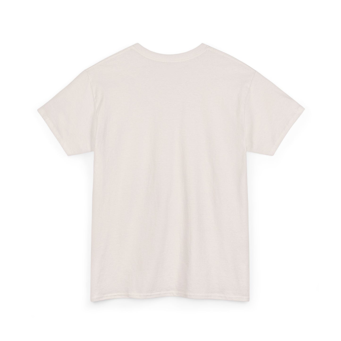 Stay at home Unisex Heavy Cotton Tee - StyleMZ