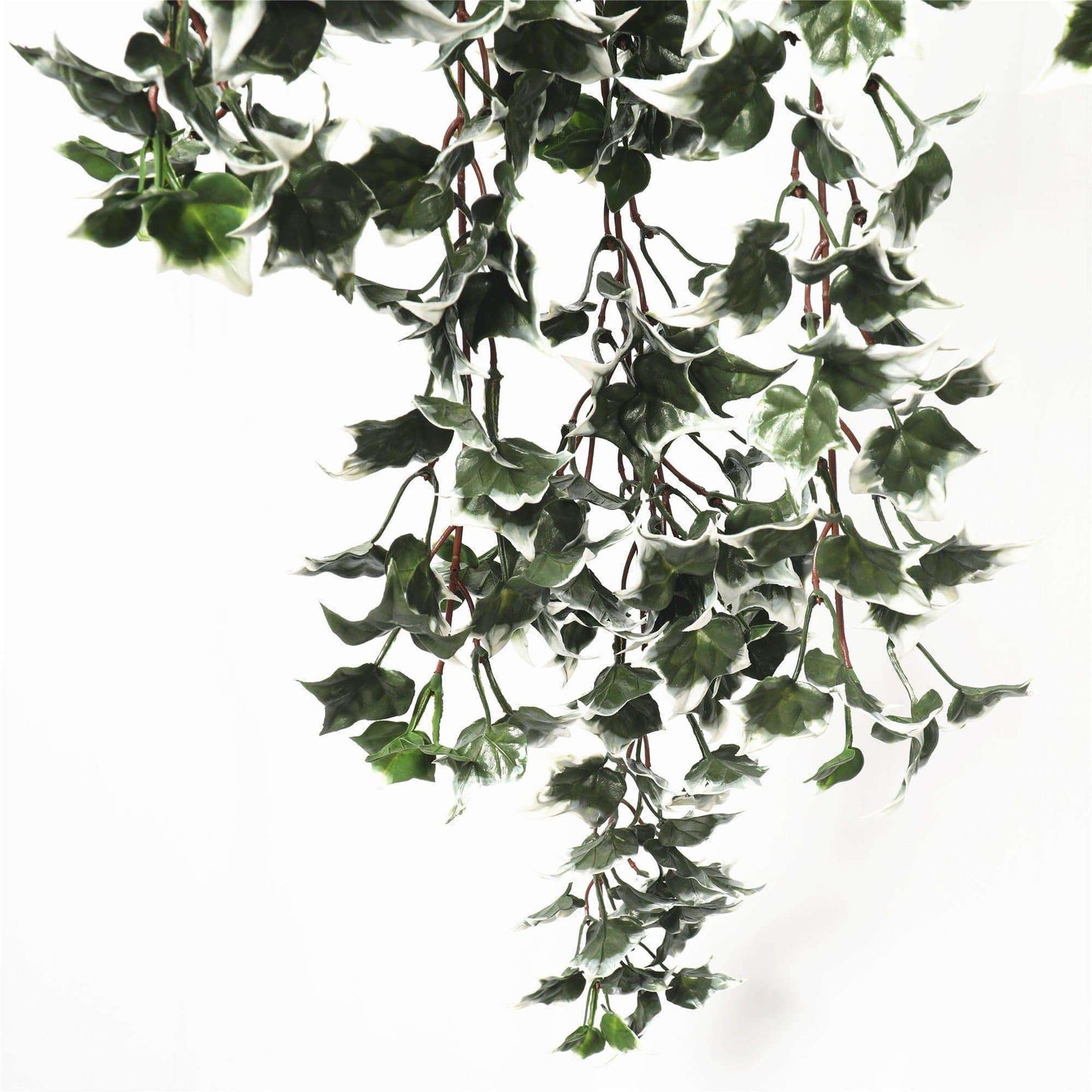 80cm Mixed Green & White Tipped Hanging Artificial Ivy Bush UV Stable