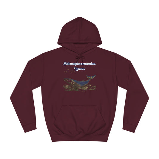 Korea -  Blue Whale Unisex College Hoodie  - StyleMZ