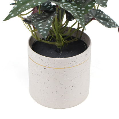 Artificial Begonia Plant in Decorative Bowl 30cm for Aesthetic Spaces