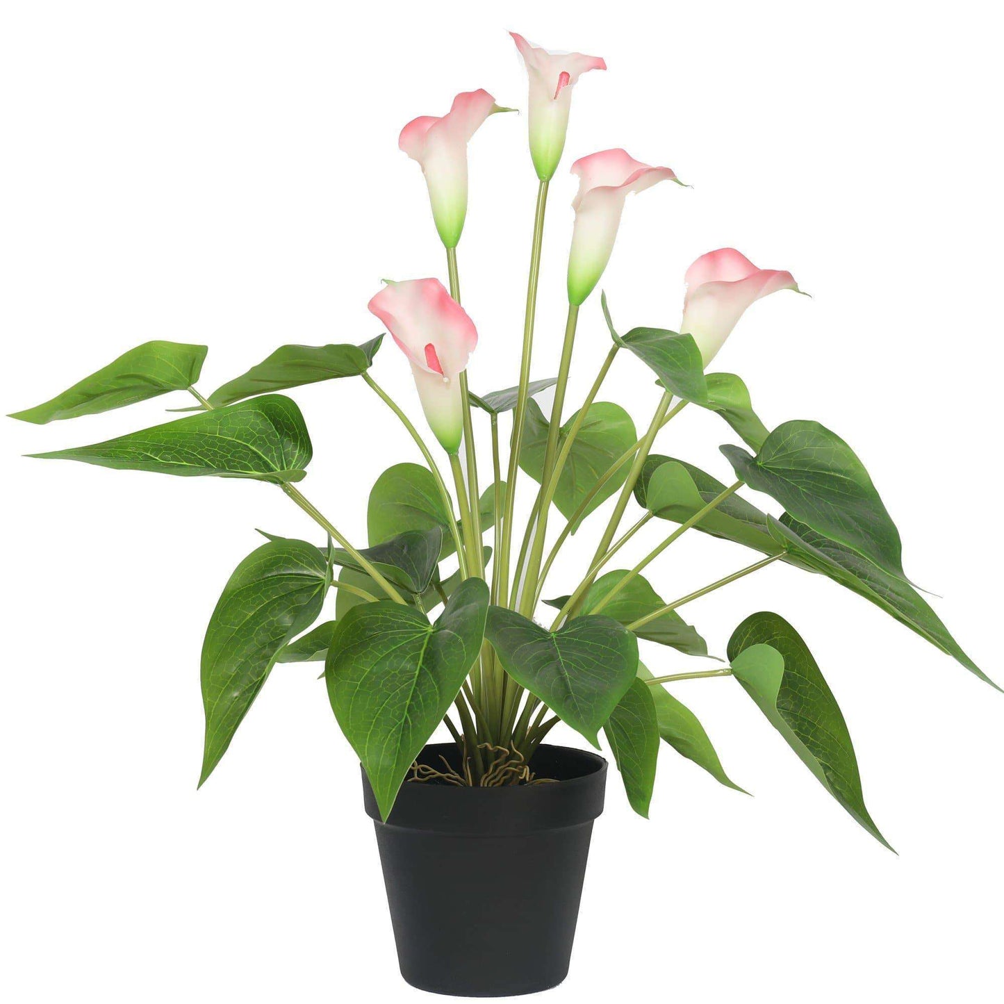 Artificial Flowering White & Pink Peace Lily Plant 50cm