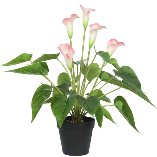 Artificial Flowering White & Pink Peace Lily Plant 50cm