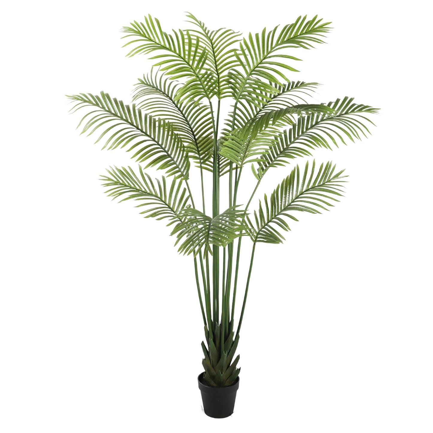 Artificial Multi Stem Hawaii Palm 190cm for Effortless Style