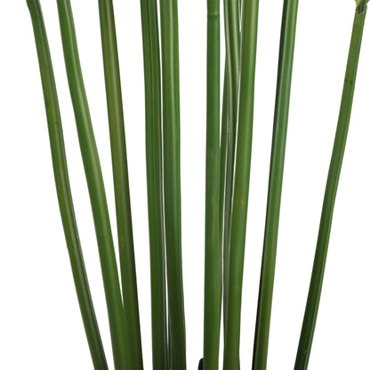 Artificial Multi Stem Hawaii Palm 190cm for Effortless Style