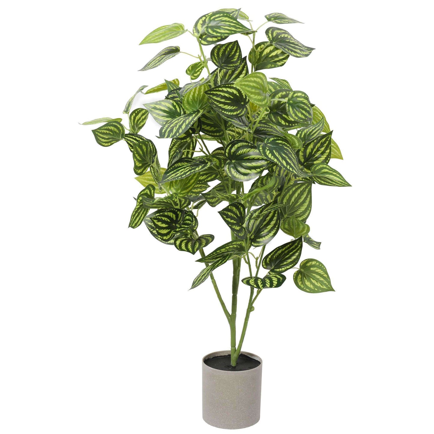 Bright Mixed Philodendron Plant 70cm for Lifelike Decor