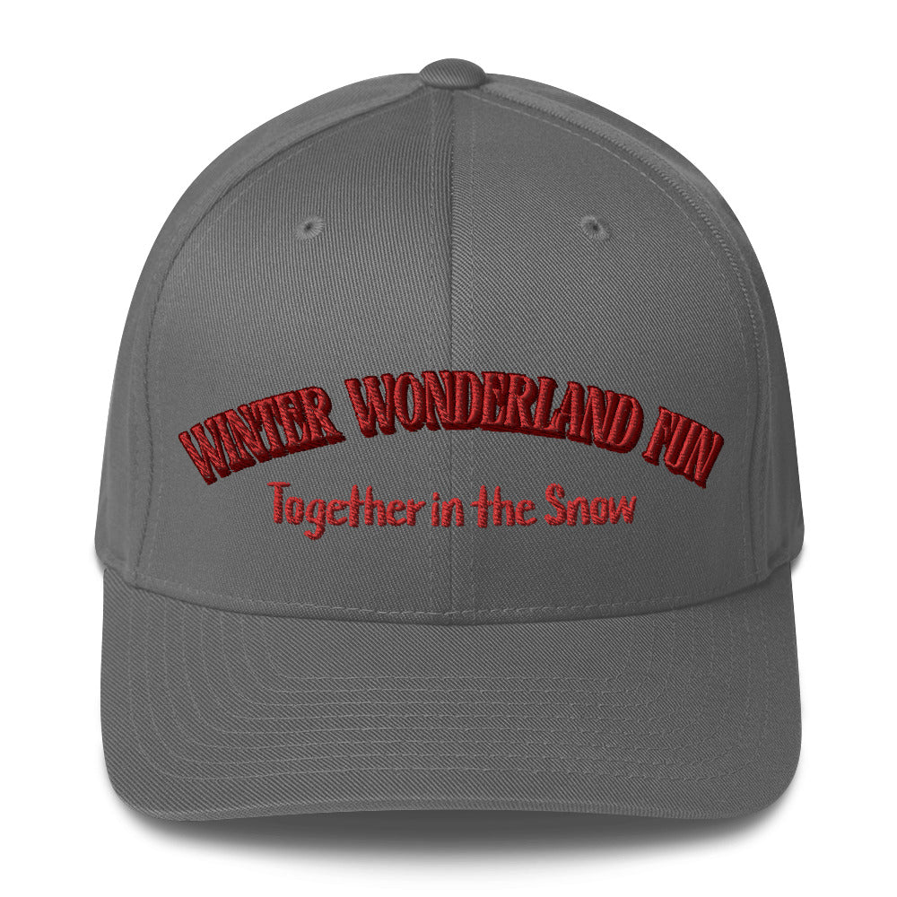 Winter wonderland fun Structured Twill Cap  - Korea  - StyleMZ