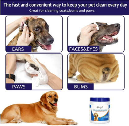 Pet Wipes with Free Cotton Swabs for All Pet Types