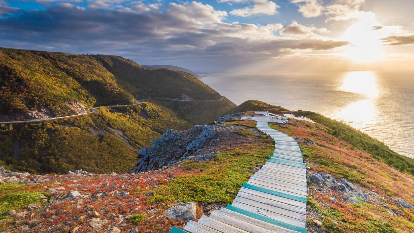 Cabot Trail Colombia Dark Roast Coffee for Bold Flavor