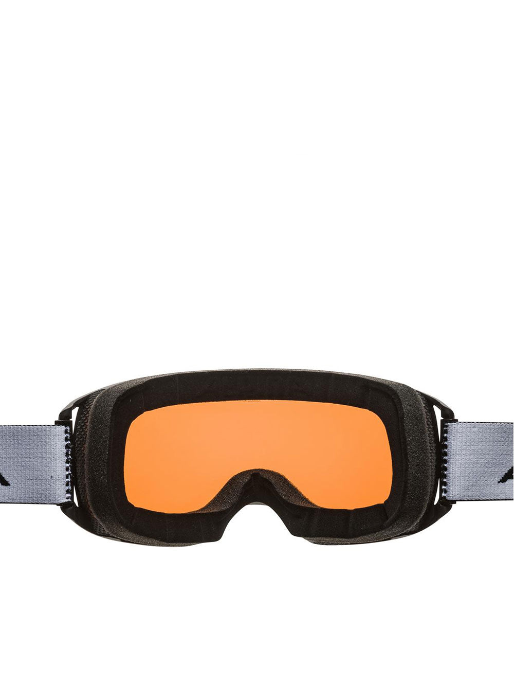 4253661 ALPINA Expert Winter Sports Protective Ski Goggles