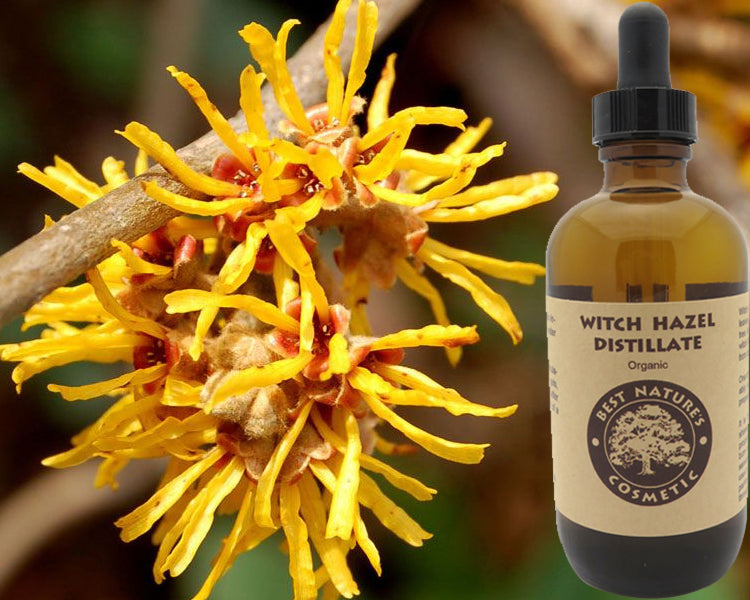 Witch Hazel Distillate Organic for Skin Care Benefits