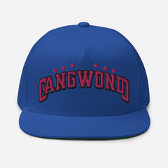 Gangwondo Flat Bill Cap  - Korea  - StyleMZ