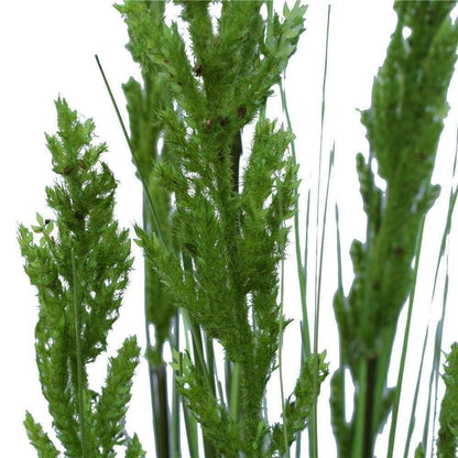 Flowering Native Grass 120cm for Lifelike Home Décor