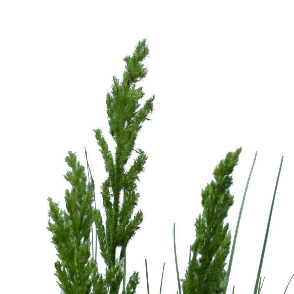 Flowering Native Grass 120cm for Lifelike Home Décor