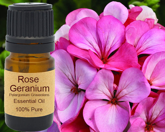 Rose Geranium Essential Oil 15ml for Aromatherapy Bliss