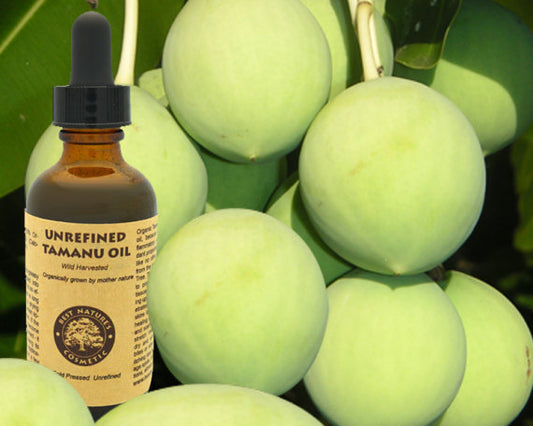 Virgin Vanuatu Tamanu Oil Organic Undiluted Skin Healer