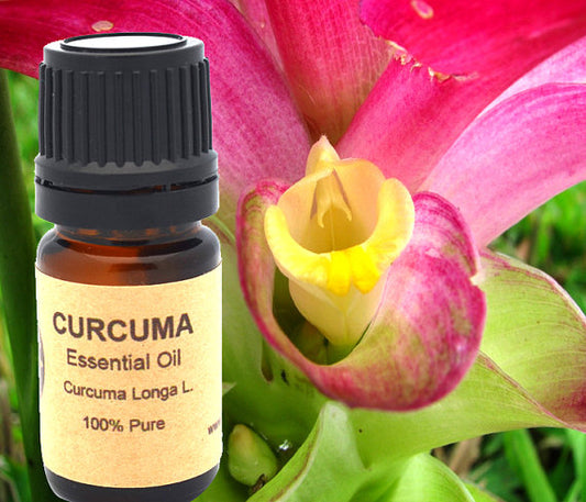 Turmeric Curcuma Essential Oil 10ml or 15ml for Aromatherapy