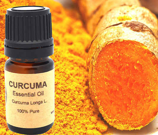 Turmeric Curcuma Essential Oil 10ml or 15ml for Aromatherapy